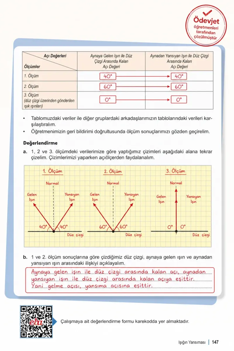 6. Sınıf Fen Bilimleri Ders Kitabı Cevapları Meb Yayınları 1. Kitap Sayfa 147 Çözüm Görseli