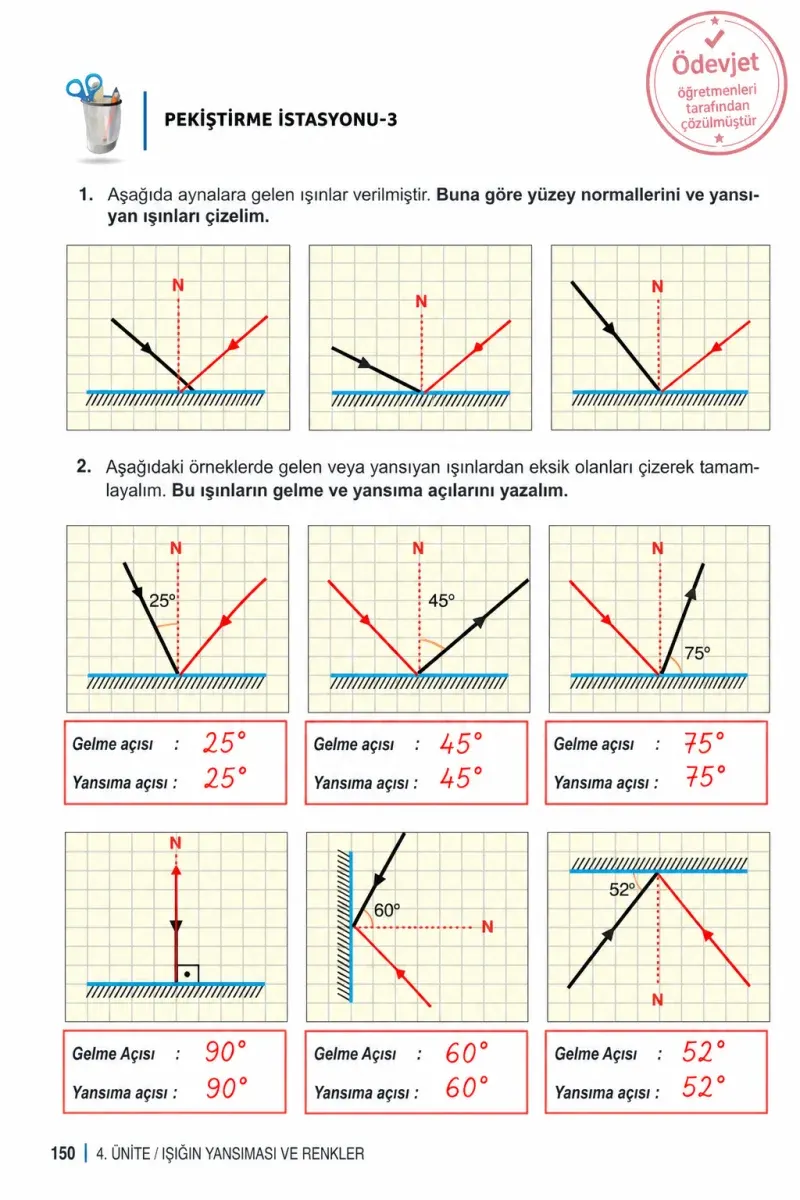 6. Sınıf Fen Bilimleri Ders Kitabı Cevapları Meb Yayınları 1. Kitap Sayfa 150 Çözüm Görseli