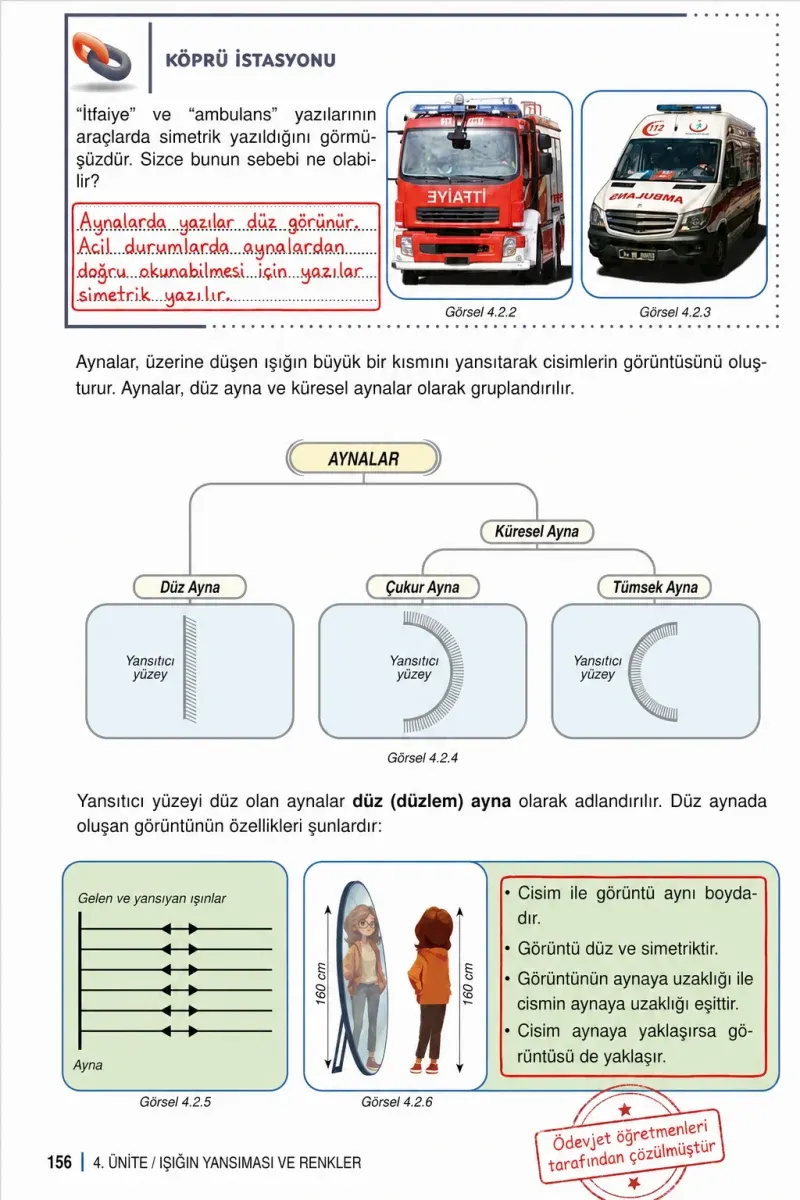 6. Sınıf Fen Bilimleri Ders Kitabı Cevapları Meb Yayınları 1. Kitap Sayfa 156 Çözüm Görseli