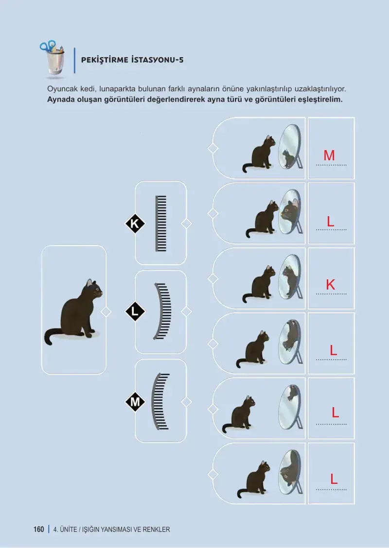 6. Sınıf Fen Bilimleri Ders Kitabı Cevapları Meb Yayınları 1. Kitap Sayfa 160 Çözüm Görseli