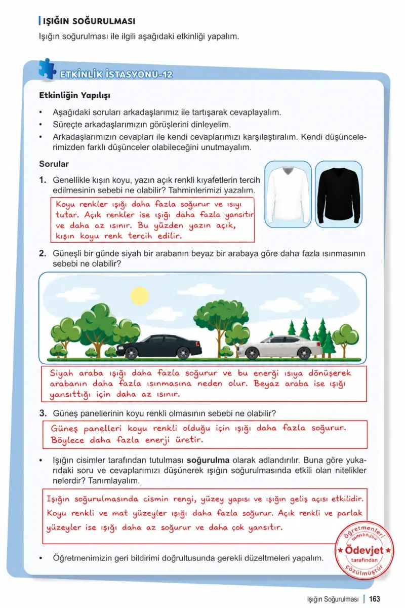 6. Sınıf Fen Bilimleri Ders Kitabı Cevapları Meb Yayınları 1. Kitap Sayfa 163 Çözüm Görseli