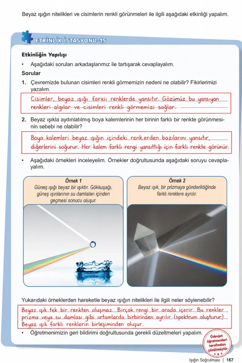 6. Sınıf Fen Bilimleri Ders Kitabı Cevapları Meb Yayınları 1. Kitap Sayfa 167 Çözüm Görseli