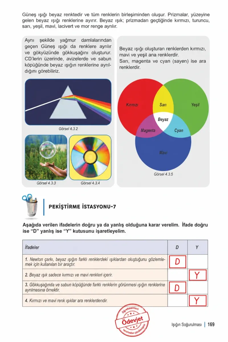 6. Sınıf Fen Bilimleri Ders Kitabı Cevapları Meb Yayınları 1. Kitap Sayfa 169 Çözüm Görseli