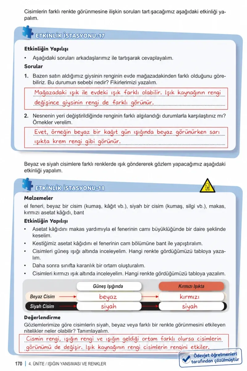 6. Sınıf Fen Bilimleri Ders Kitabı Cevapları Meb Yayınları 1. Kitap Sayfa 170 Çözüm Görseli