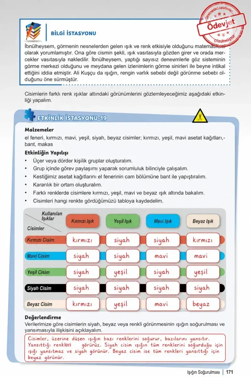 6. Sınıf Fen Bilimleri Ders Kitabı Cevapları Meb Yayınları 1. Kitap Sayfa 171 Çözüm Görseli