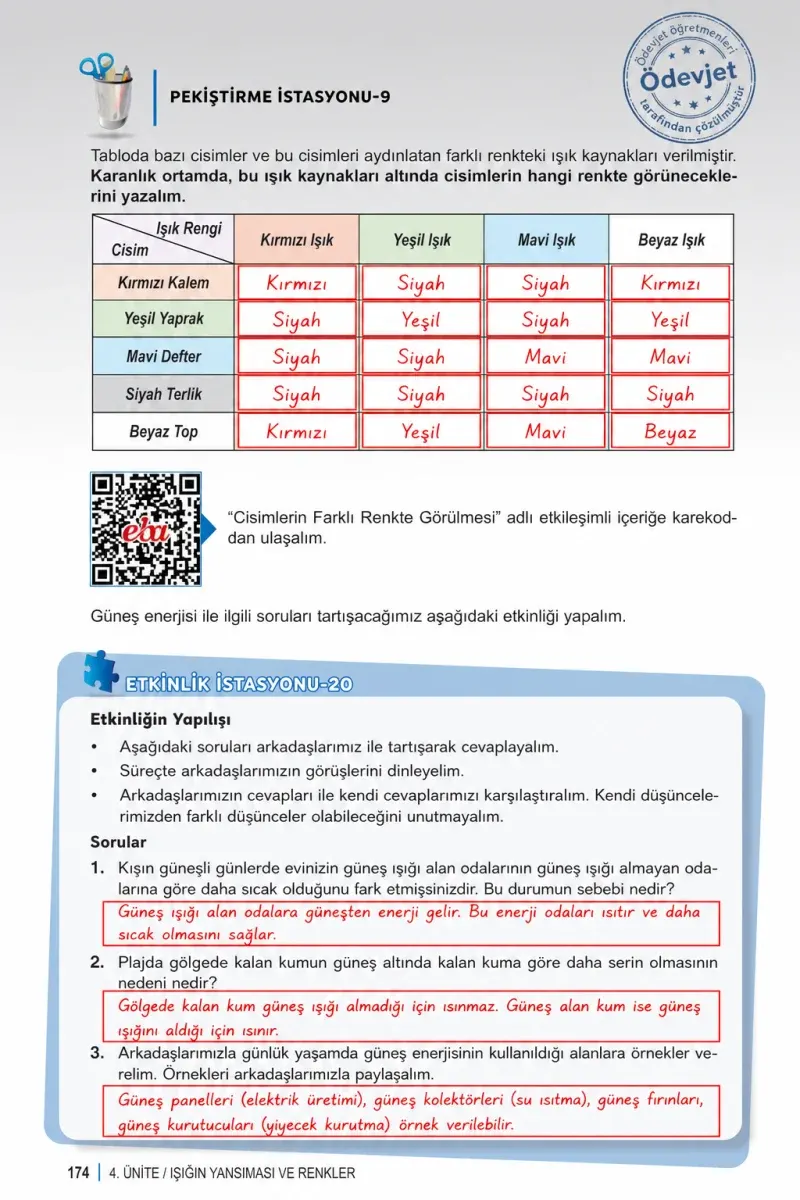 6. Sınıf Fen Bilimleri Ders Kitabı Cevapları Meb Yayınları 1. Kitap Sayfa 174 Çözüm Görseli