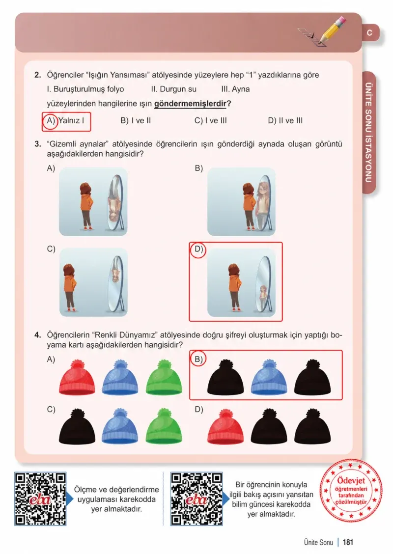 6. Sınıf Fen Bilimleri Ders Kitabı Cevapları Meb Yayınları 1. Kitap Sayfa 181 Çözüm Görseli