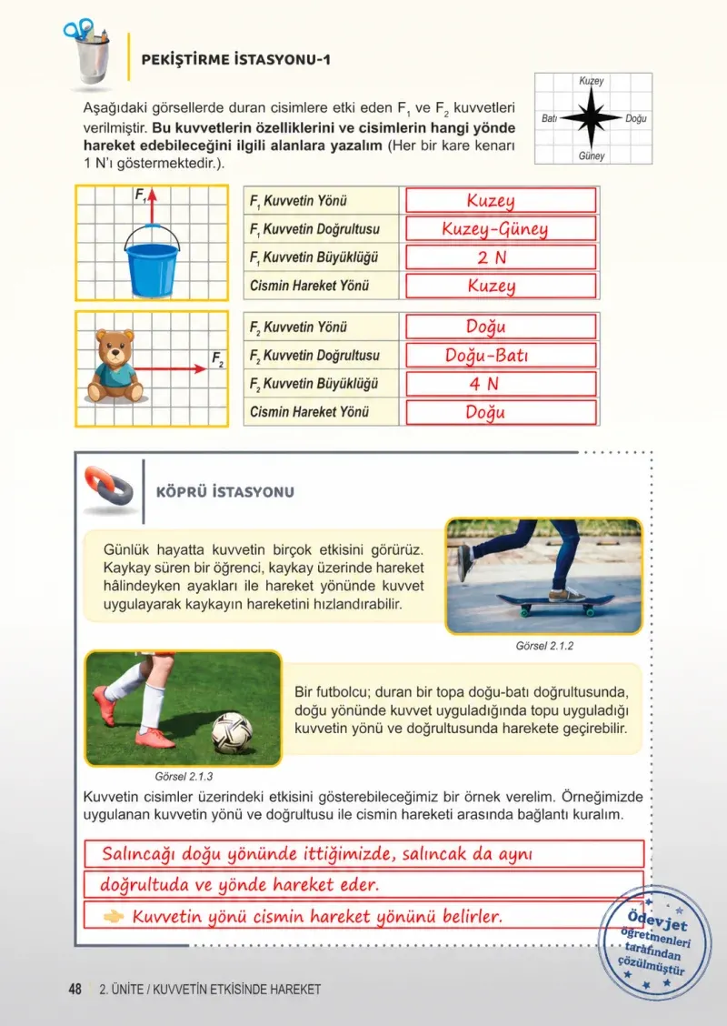 6. Sınıf Fen Bilimleri Ders Kitabı Cevapları Meb Yayınları 1. Kitap Sayfa 48 Çözüm Görseli