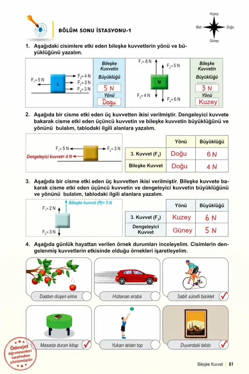 6. Sınıf Fen Bilimleri Ders Kitabı Cevapları Meb Yayınları 1. Kitap Sayfa 61 Çözüm Görseli