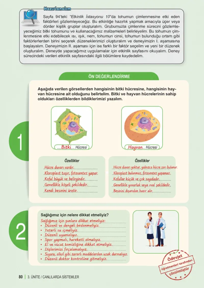 6. Sınıf Fen Bilimleri Ders Kitabı Cevapları Meb Yayınları 1. Kitap Sayfa 80 Çözüm Görseli