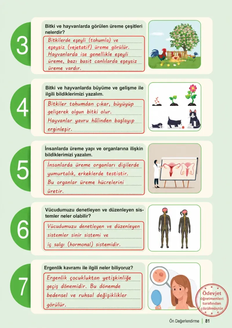 6. Sınıf Fen Bilimleri Ders Kitabı Cevapları Meb Yayınları 1. Kitap Sayfa 81 Çözüm Görseli