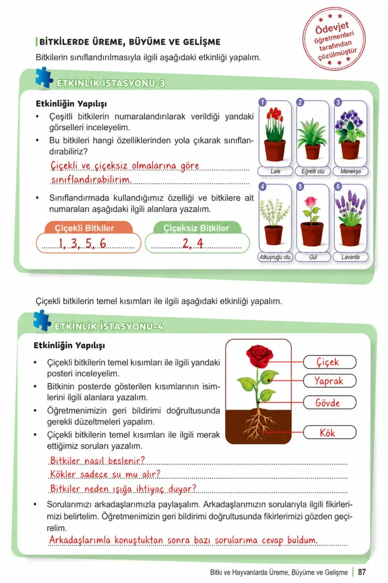 6. Sınıf Fen Bilimleri Ders Kitabı Cevapları Meb Yayınları 1. Kitap Sayfa 87 Çözüm Görseli