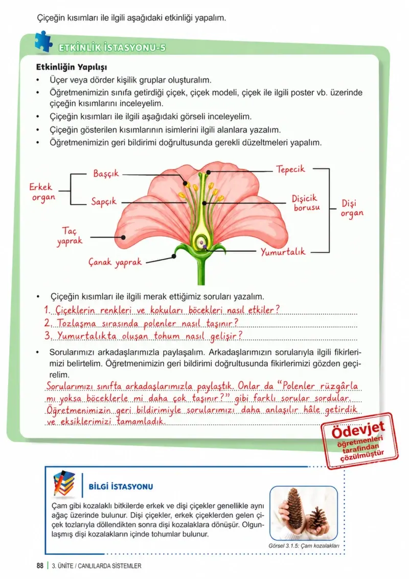 6. Sınıf Fen Bilimleri Ders Kitabı Cevapları Meb Yayınları 1. Kitap Sayfa 88 Çözüm Görseli