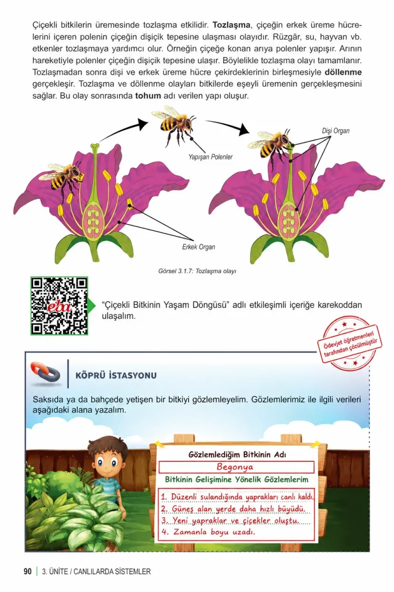 6. Sınıf Fen Bilimleri Ders Kitabı Cevapları Meb Yayınları 1. Kitap Sayfa 90 Çözüm Görseli