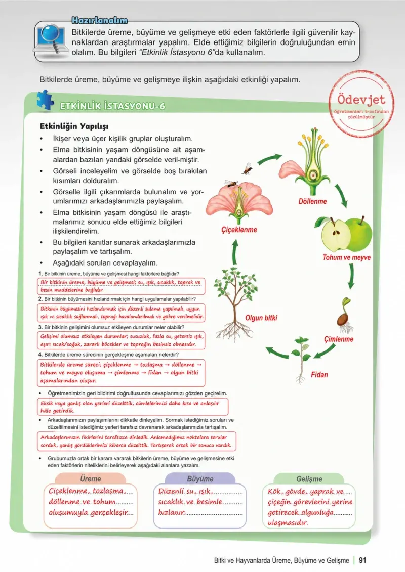 6. Sınıf Fen Bilimleri Ders Kitabı Cevapları Meb Yayınları 1. Kitap Sayfa 91 Çözüm Görseli