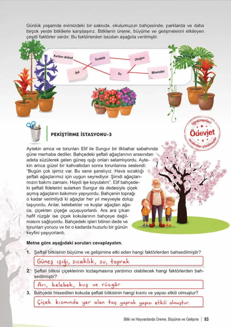 6. Sınıf Fen Bilimleri Ders Kitabı Cevapları Meb Yayınları 1. Kitap Sayfa 93 Çözüm Görseli