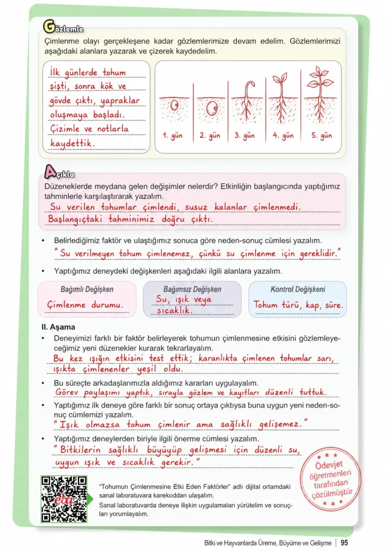 6. Sınıf Fen Bilimleri Ders Kitabı Cevapları Meb Yayınları 1. Kitap Sayfa 95 Çözüm Görseli