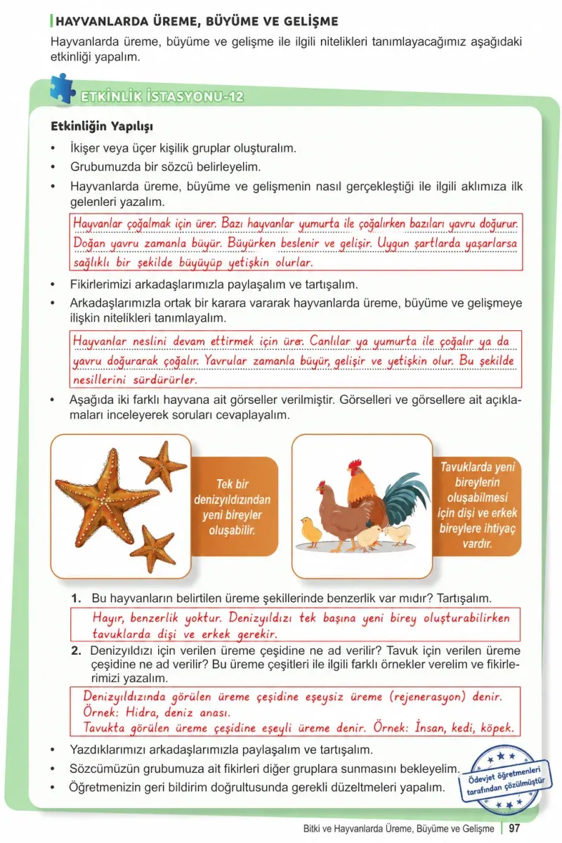 6. Sınıf Fen Bilimleri Ders Kitabı Cevapları Meb Yayınları 1. Kitap Sayfa 97 Çözüm Görseli