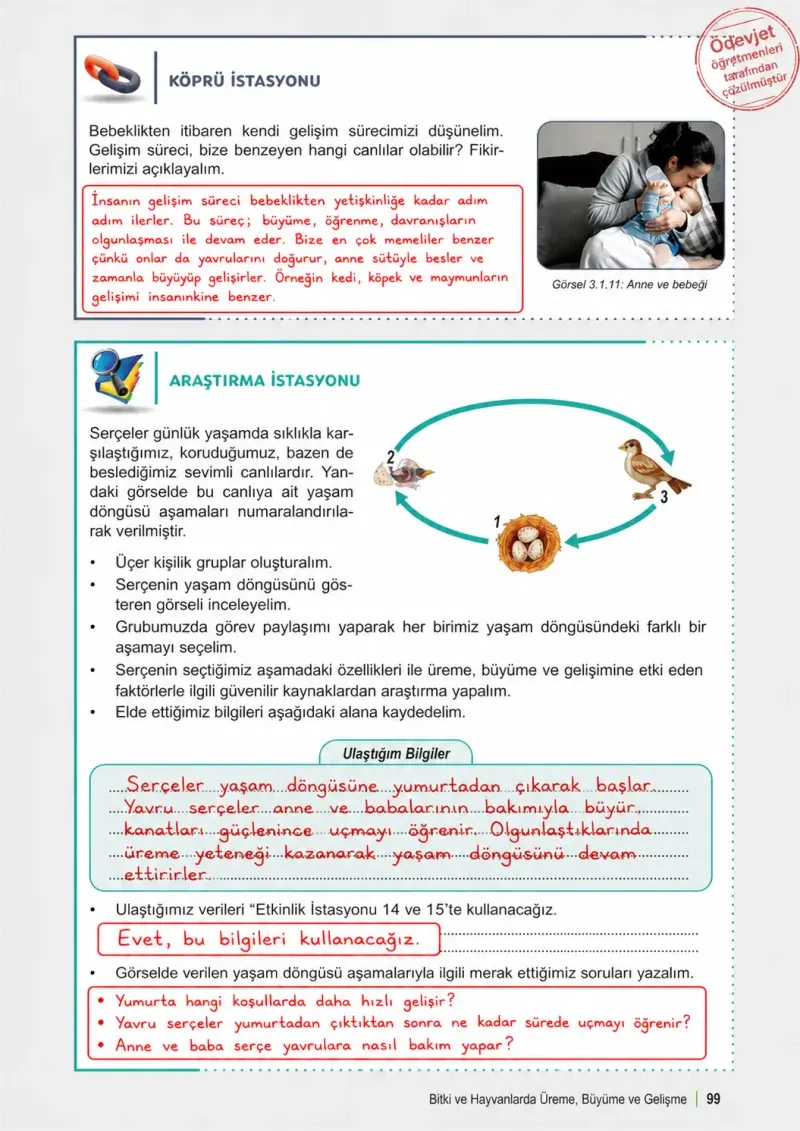 6. Sınıf Fen Bilimleri Ders Kitabı Cevapları Meb Yayınları 1. Kitap Sayfa 99 Çözüm Görseli