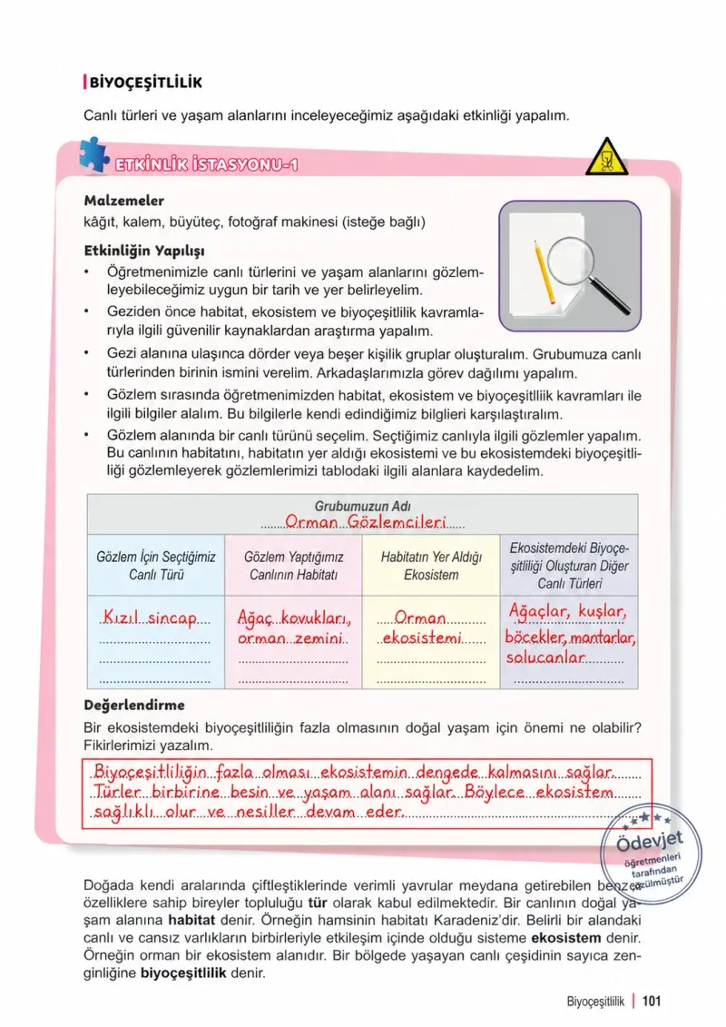 6. Sınıf Fen Bilimleri Ders Kitabı Cevapları Meb Yayınları 2. Kitap Sayfa 101 Çözüm Görseli