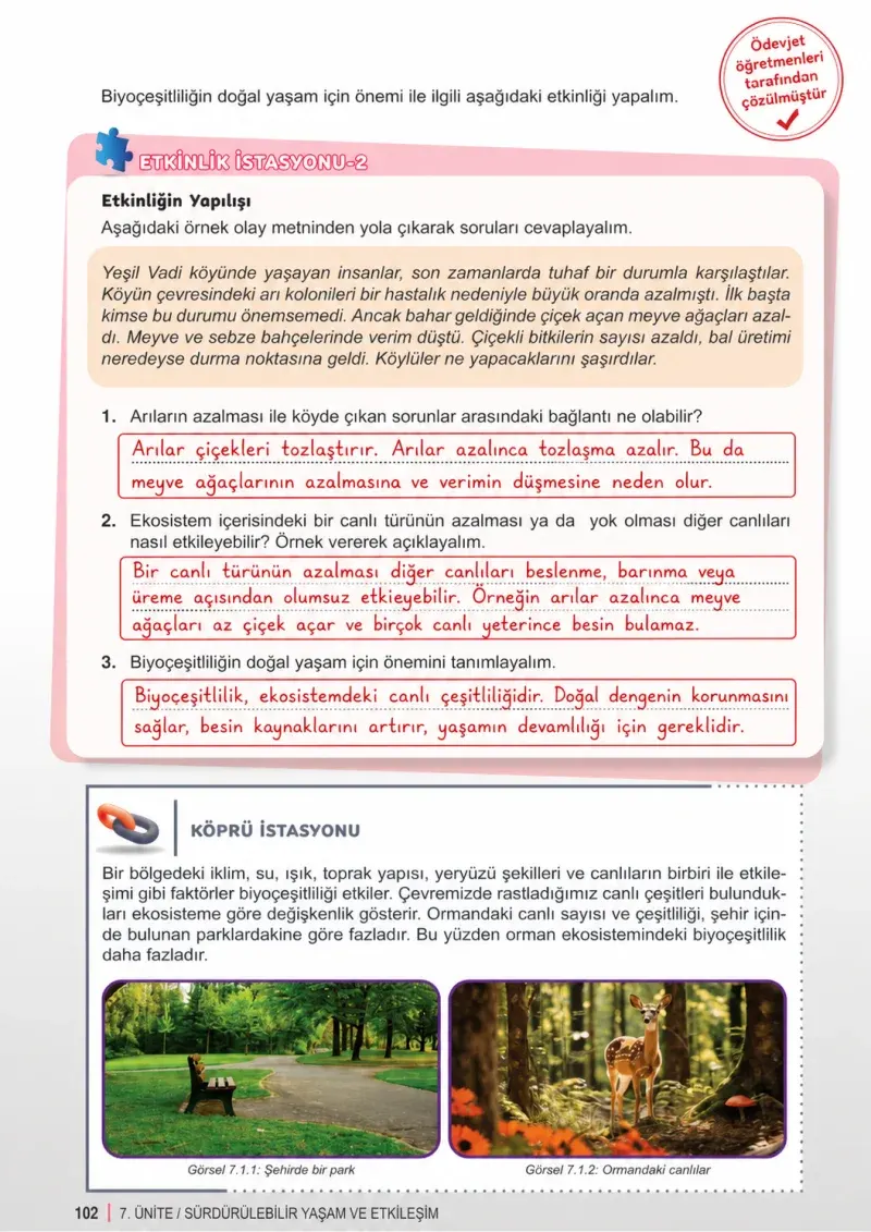 6. Sınıf Fen Bilimleri Ders Kitabı Cevapları Meb Yayınları 2. Kitap Sayfa 102 Çözüm Görseli