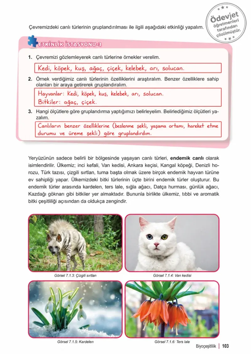 6. Sınıf Fen Bilimleri Ders Kitabı Cevapları Meb Yayınları 2. Kitap Sayfa 103 Çözüm Görseli
