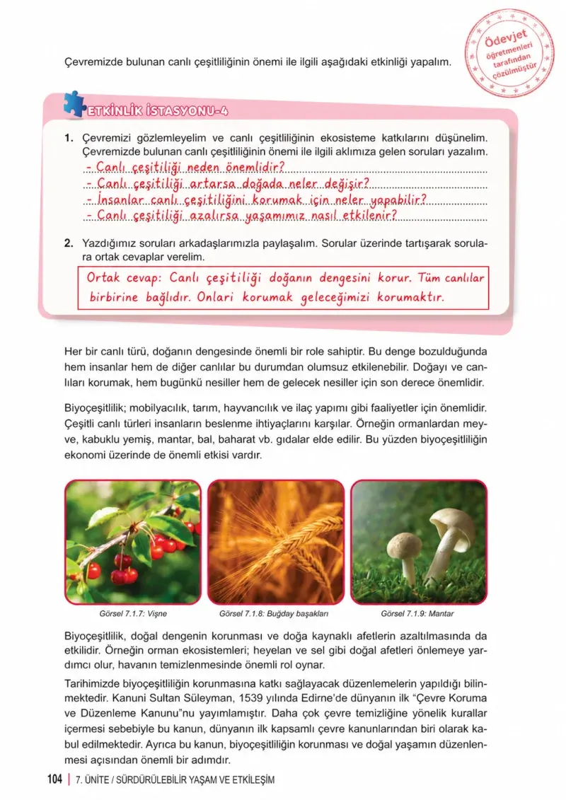 6. Sınıf Fen Bilimleri Ders Kitabı Cevapları Meb Yayınları 2. Kitap Sayfa 104 Çözüm Görseli