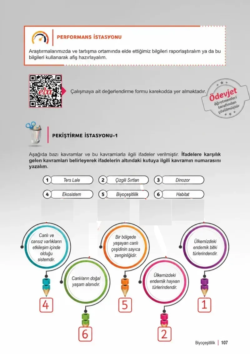 6. Sınıf Fen Bilimleri Ders Kitabı Cevapları Meb Yayınları 2. Kitap Sayfa 107 Çözüm Görseli