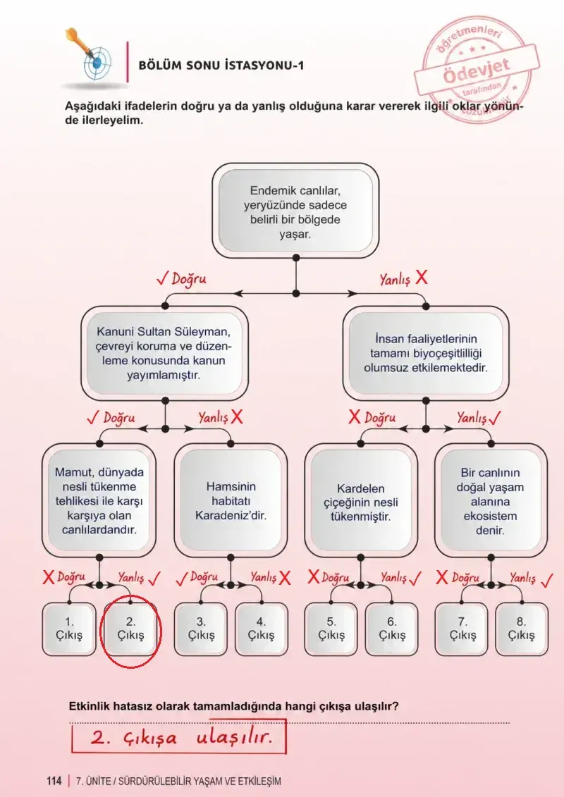 6. Sınıf Fen Bilimleri Ders Kitabı Cevapları Meb Yayınları 2. Kitap Sayfa 114 Çözüm Görseli