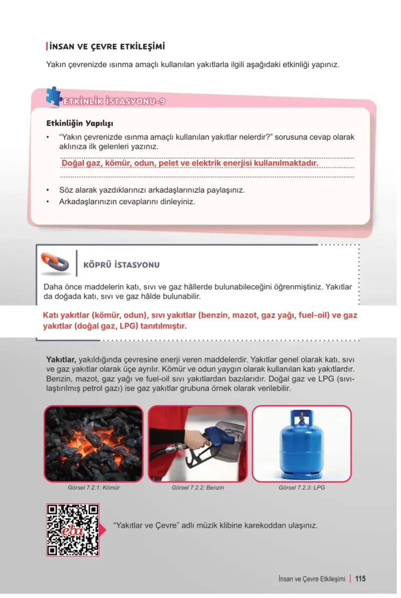 6. Sınıf Fen Bilimleri Ders Kitabı Cevapları Meb Yayınları 2. Kitap Sayfa 115 Çözüm Görseli
