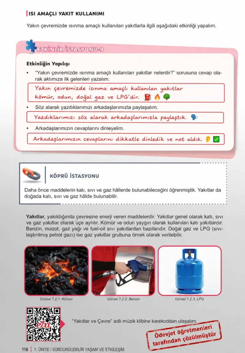 6. Sınıf Fen Bilimleri Ders Kitabı Cevapları Meb Yayınları 2. Kitap Sayfa 116 Çözüm Görseli