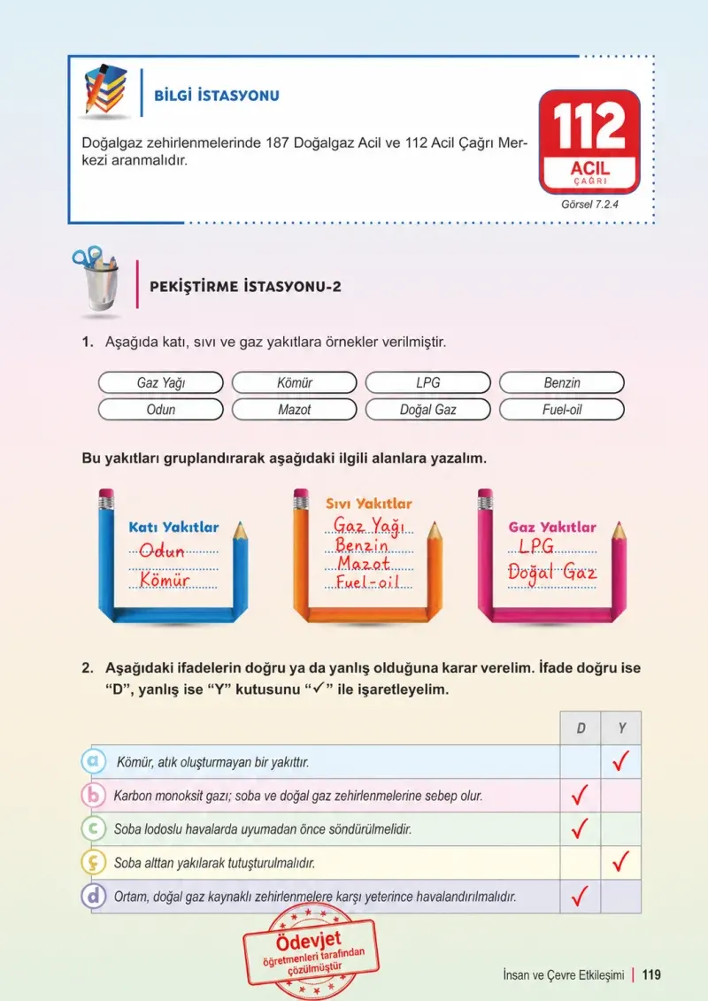 6. Sınıf Fen Bilimleri Ders Kitabı Cevapları Meb Yayınları 2. Kitap Sayfa 119 Çözüm Görseli