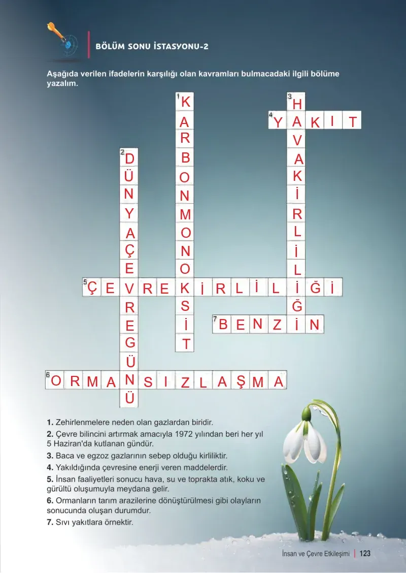 6. Sınıf Fen Bilimleri Ders Kitabı Cevapları Meb Yayınları 2. Kitap Sayfa 123 Çözüm Görseli