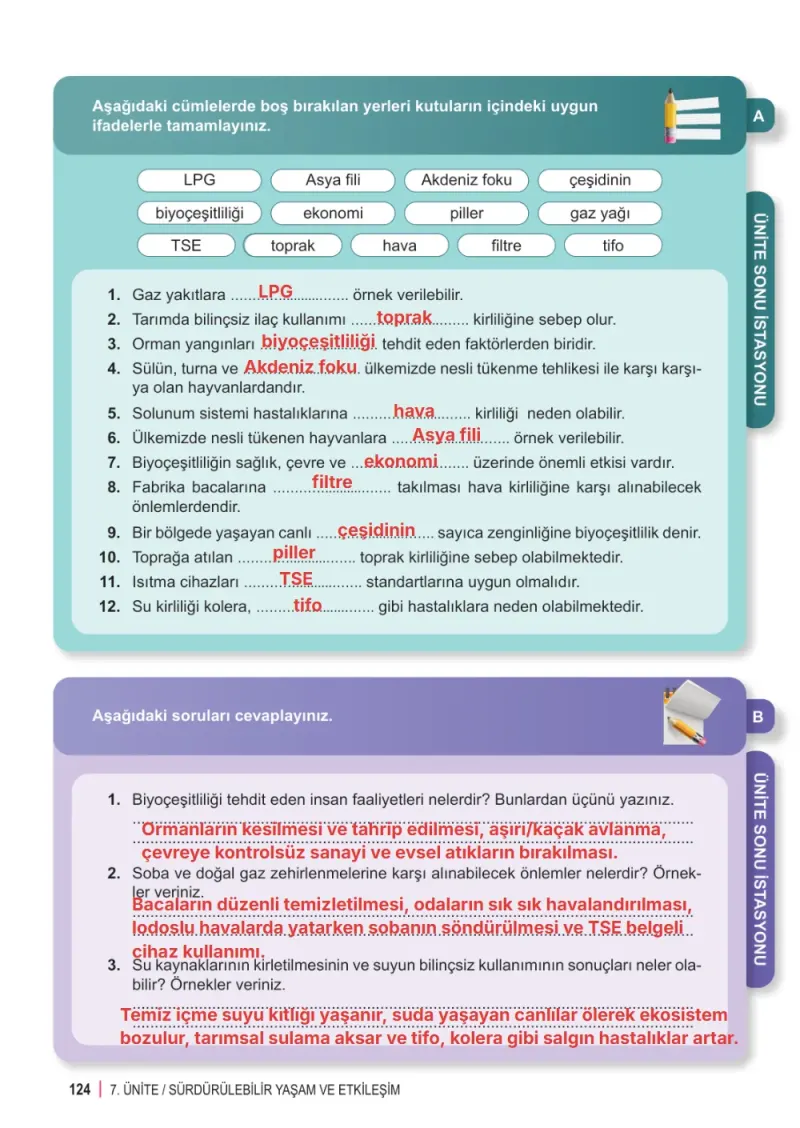 6. Sınıf Fen Bilimleri Ders Kitabı Cevapları Meb Yayınları 2. Kitap Sayfa 124 Çözüm Görseli