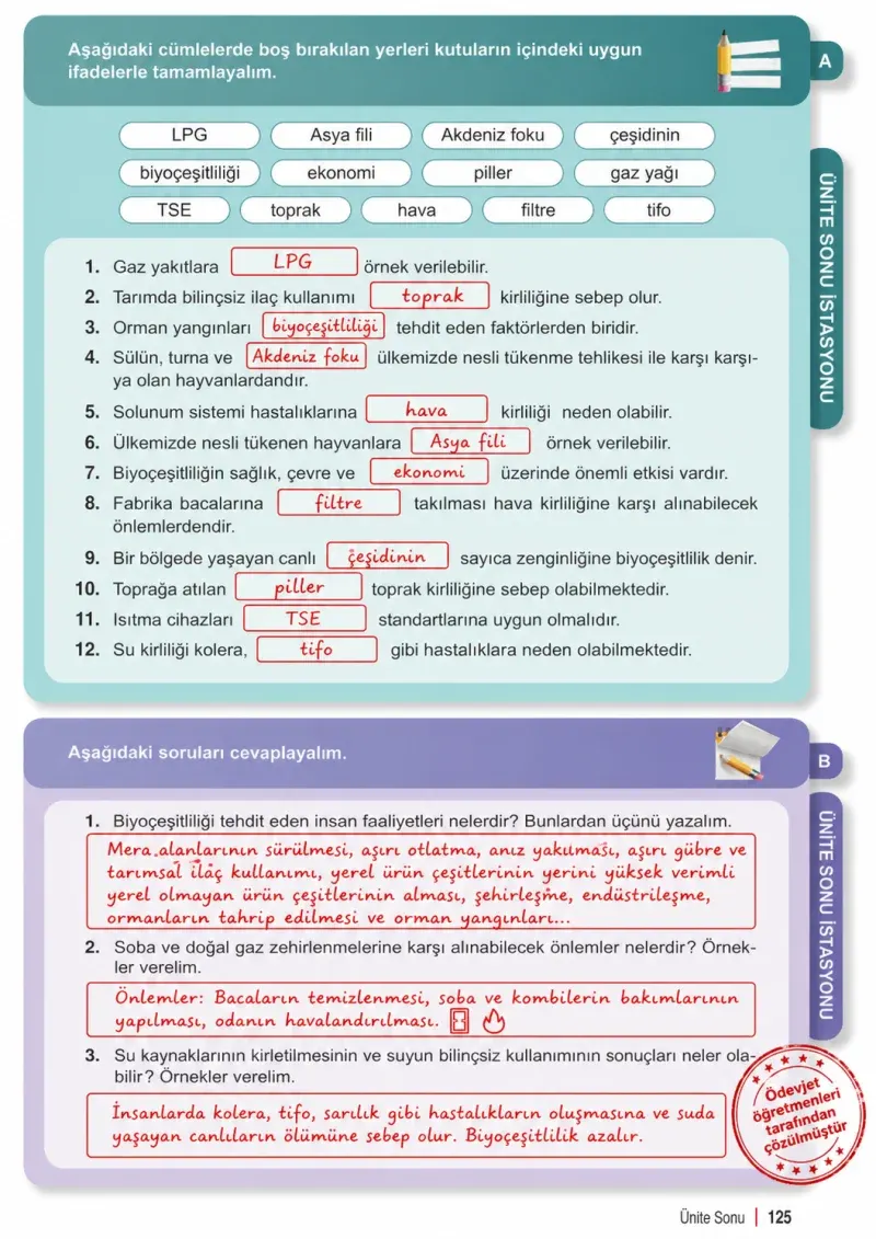 6. Sınıf Fen Bilimleri Ders Kitabı Cevapları Meb Yayınları 2. Kitap Sayfa 125 Çözüm Görseli