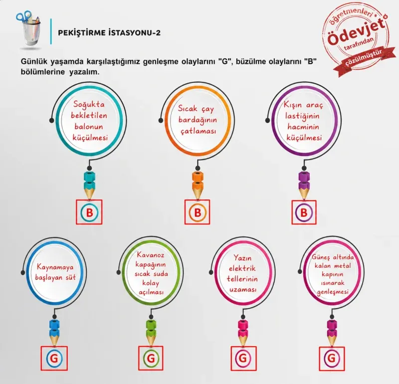 6. Sınıf Fen Bilimleri Ders Kitabı Cevapları Meb Yayınları 2. Kitap Sayfa 23 Çözüm Görseli
