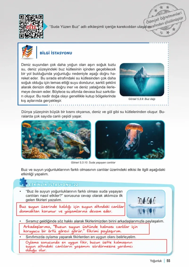 6. Sınıf Fen Bilimleri Ders Kitabı Cevapları Meb Yayınları 2. Kitap Sayfa 55 Çözüm Görseli