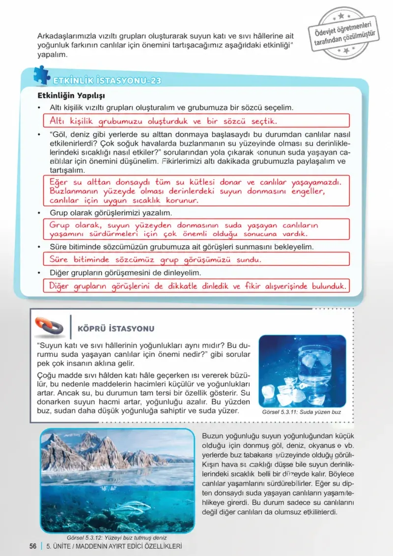 6. Sınıf Fen Bilimleri Ders Kitabı Cevapları Meb Yayınları 2. Kitap Sayfa 56 Çözüm Görseli