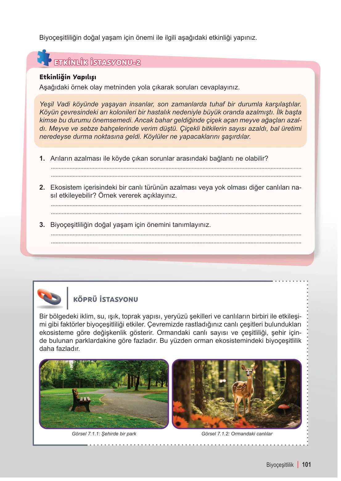 6. Sınıf Fen Bilimleri Ders Kitabı Cevapları Meb Yayınları 2. Kitap Sayfa 101