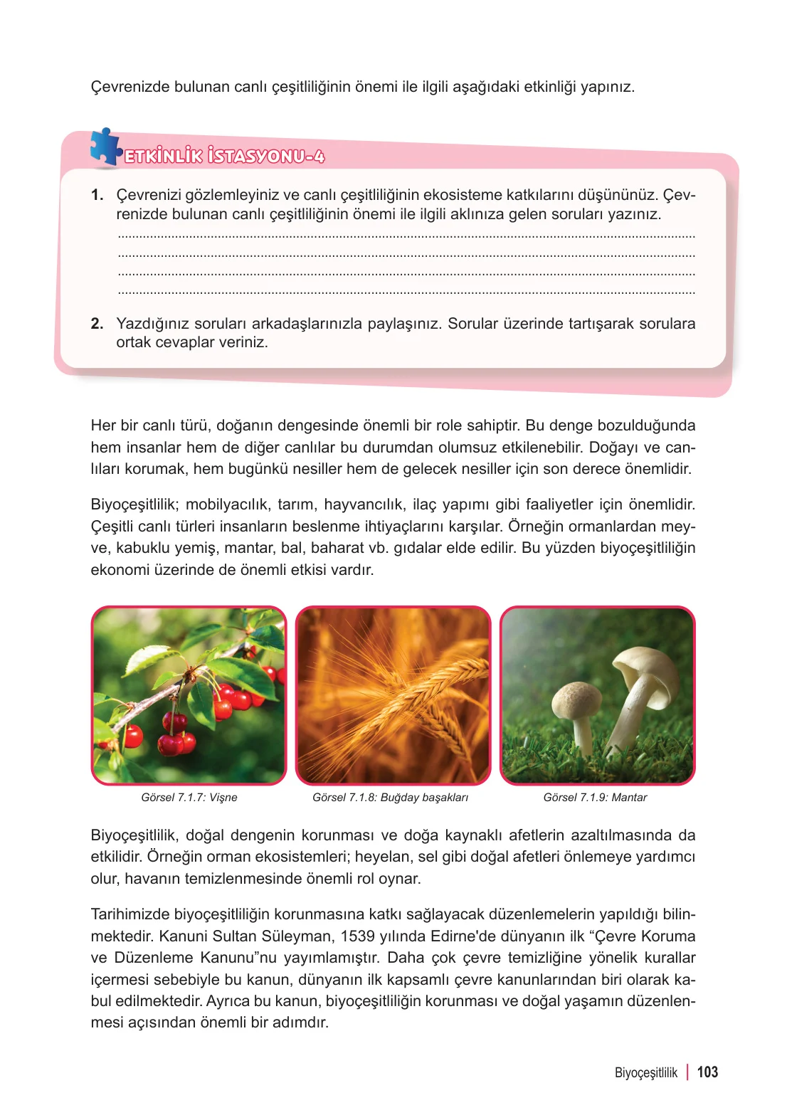 6. Sınıf Fen Bilimleri Ders Kitabı Cevapları Meb Yayınları 2. Kitap Sayfa 103