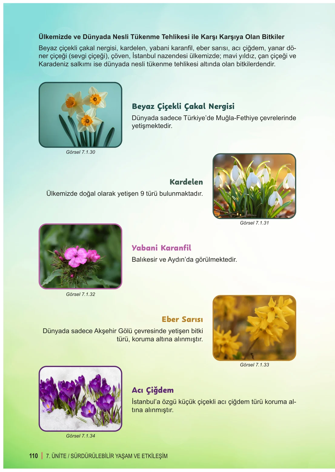 6. Sınıf Fen Bilimleri Ders Kitabı Cevapları Meb Yayınları 2. Kitap Sayfa 110
