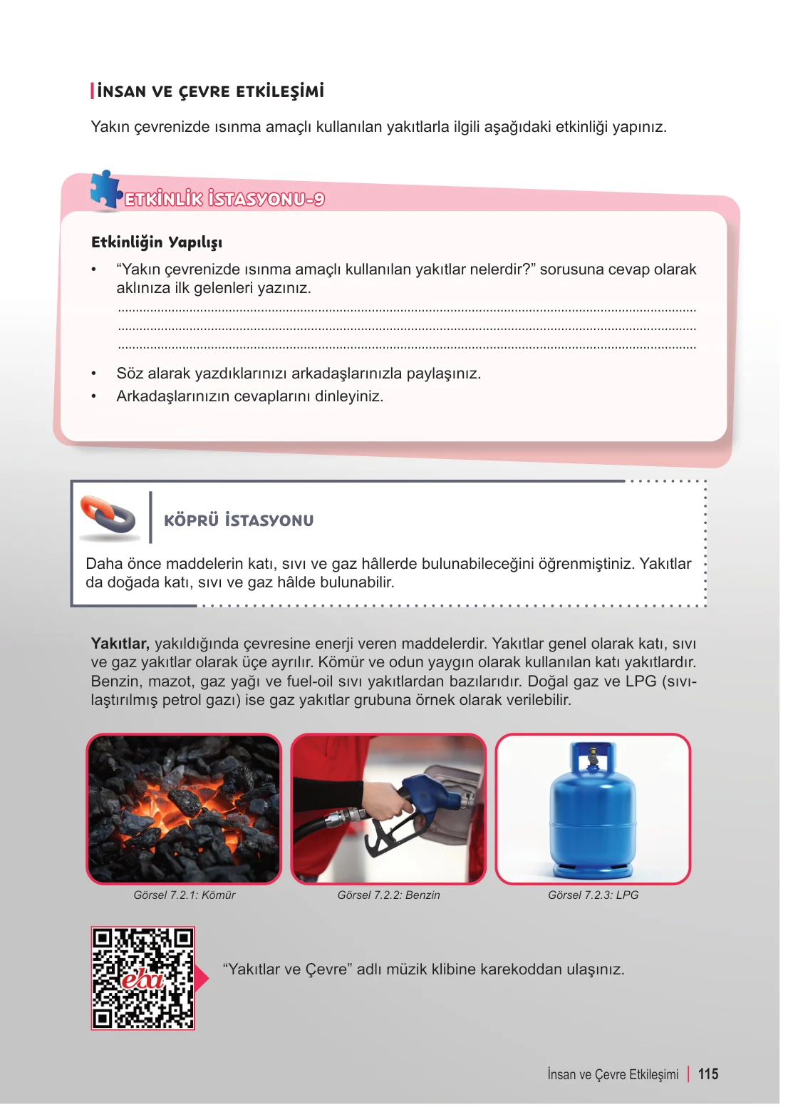 6. Sınıf Fen Bilimleri Ders Kitabı Cevapları Meb Yayınları 2. Kitap Sayfa 115