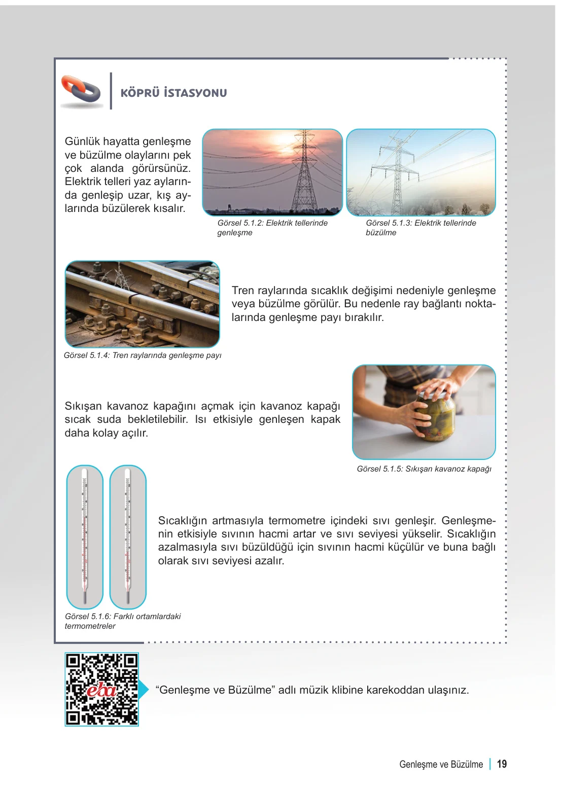 6. Sınıf Fen Bilimleri Ders Kitabı Cevapları Meb Yayınları 2. Kitap Sayfa 19