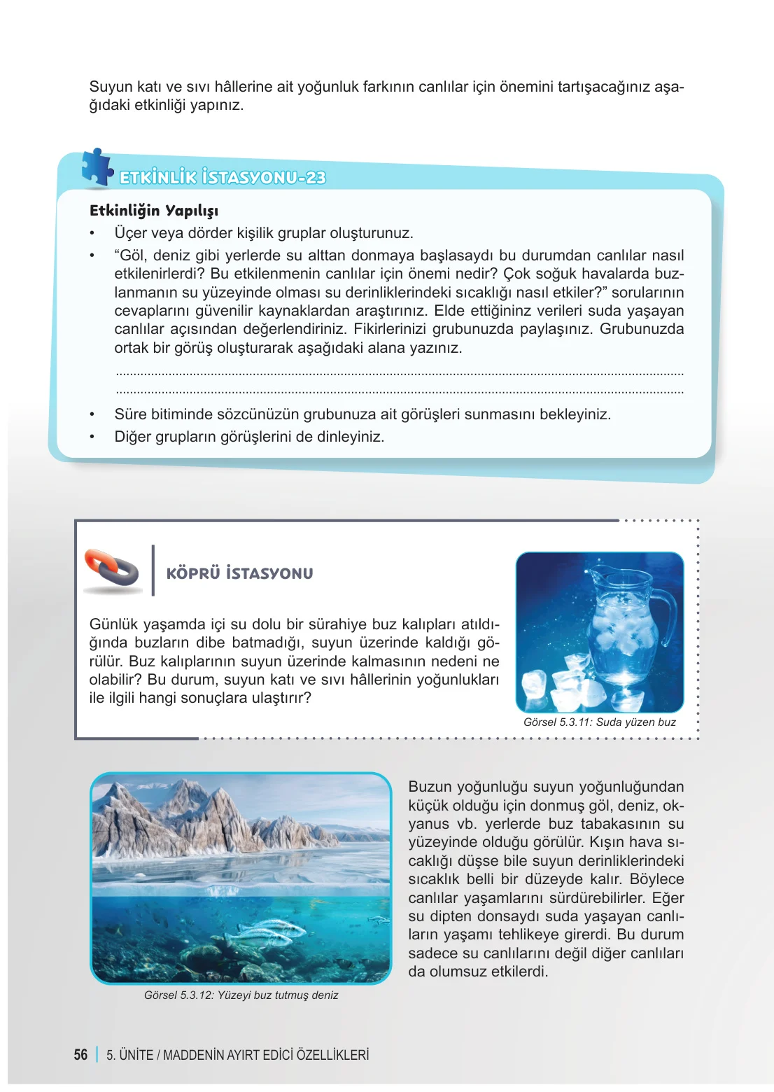 6. Sınıf Fen Bilimleri Ders Kitabı Cevapları Meb Yayınları 2. Kitap Sayfa 56