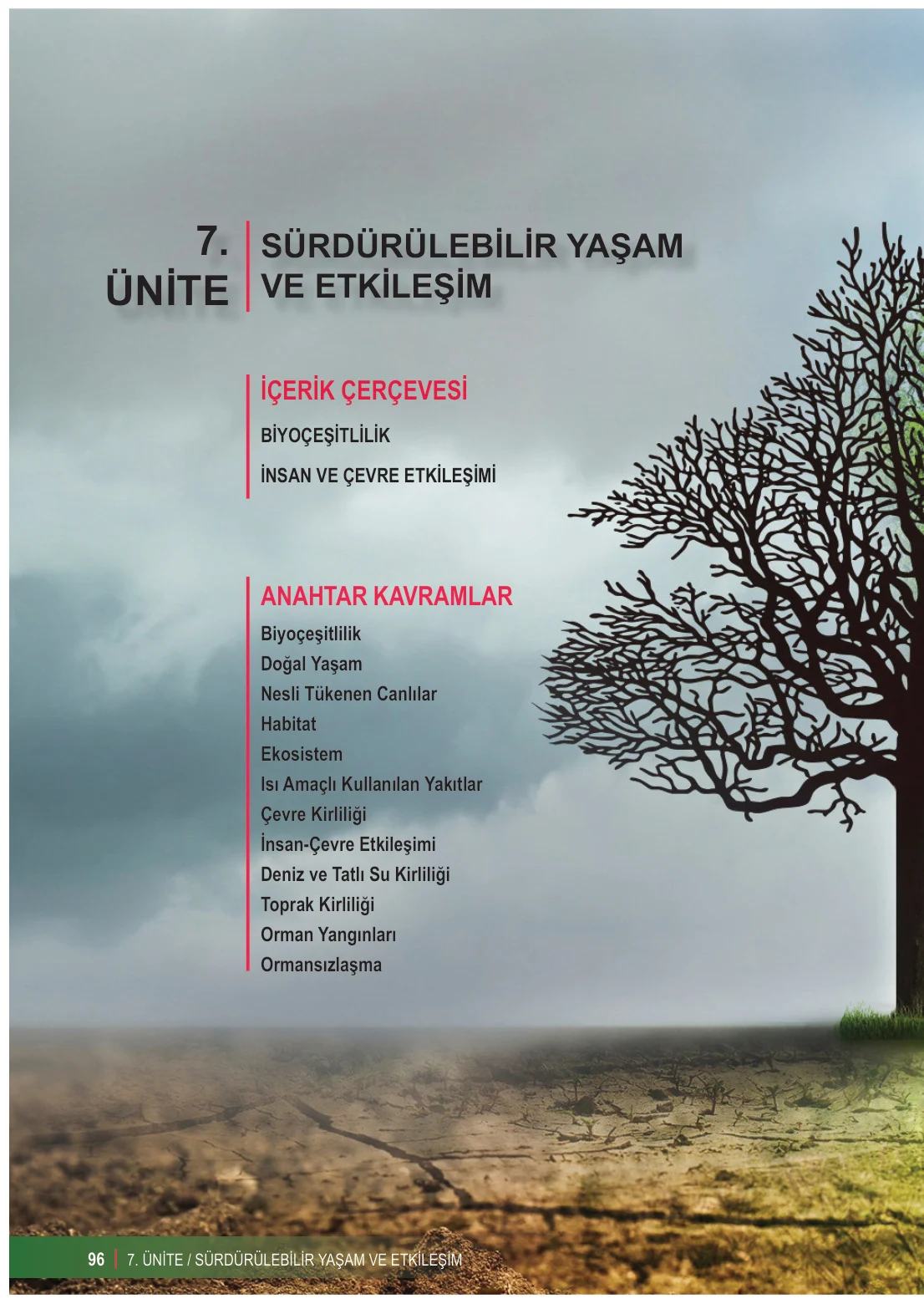 6. Sınıf Fen Bilimleri Ders Kitabı Cevapları Meb Yayınları 2. Kitap Sayfa 96