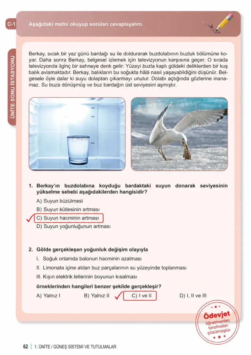 6. Sınıf Fen Bilimleri Ders Kitabı Cevapları Meb Yayınları 2. Kitap Sayfa 62 Çözüm Görseli