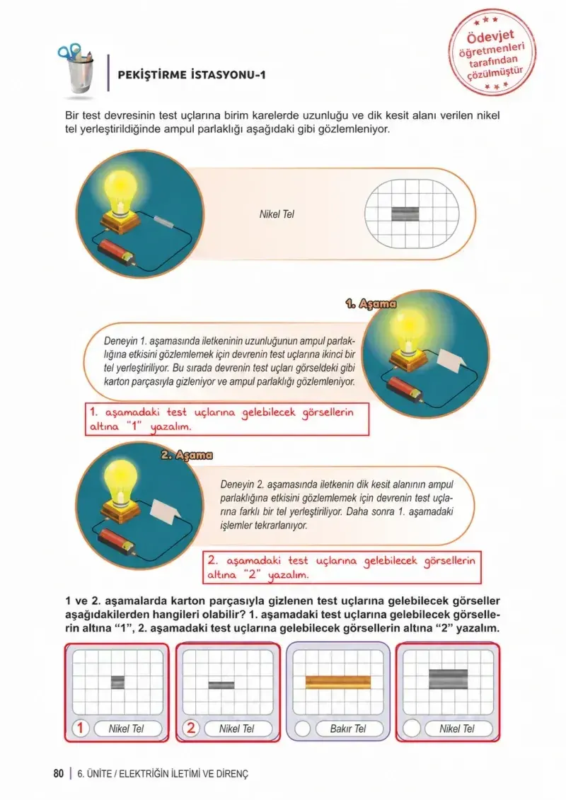 6. Sınıf Fen Bilimleri Ders Kitabı Cevapları Meb Yayınları 2. Kitap Sayfa 80 Çözüm Görseli