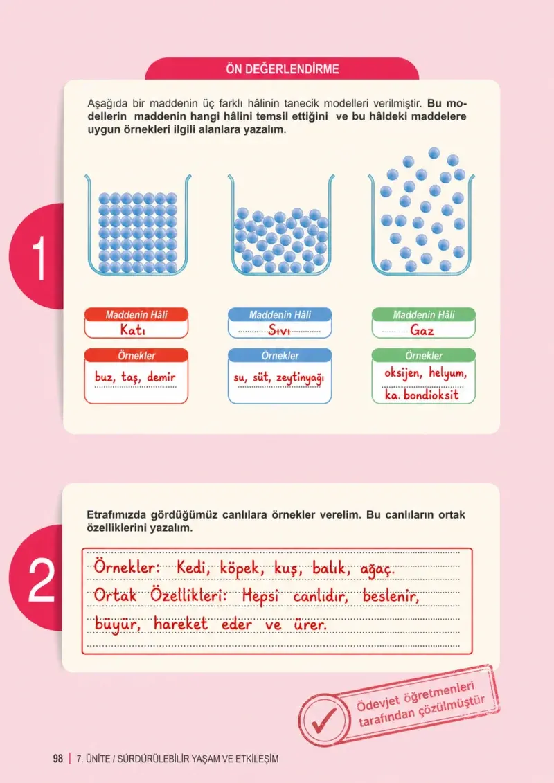 6. Sınıf Fen Bilimleri Ders Kitabı Cevapları Meb Yayınları 2. Kitap Sayfa 98 Çözüm Görseli