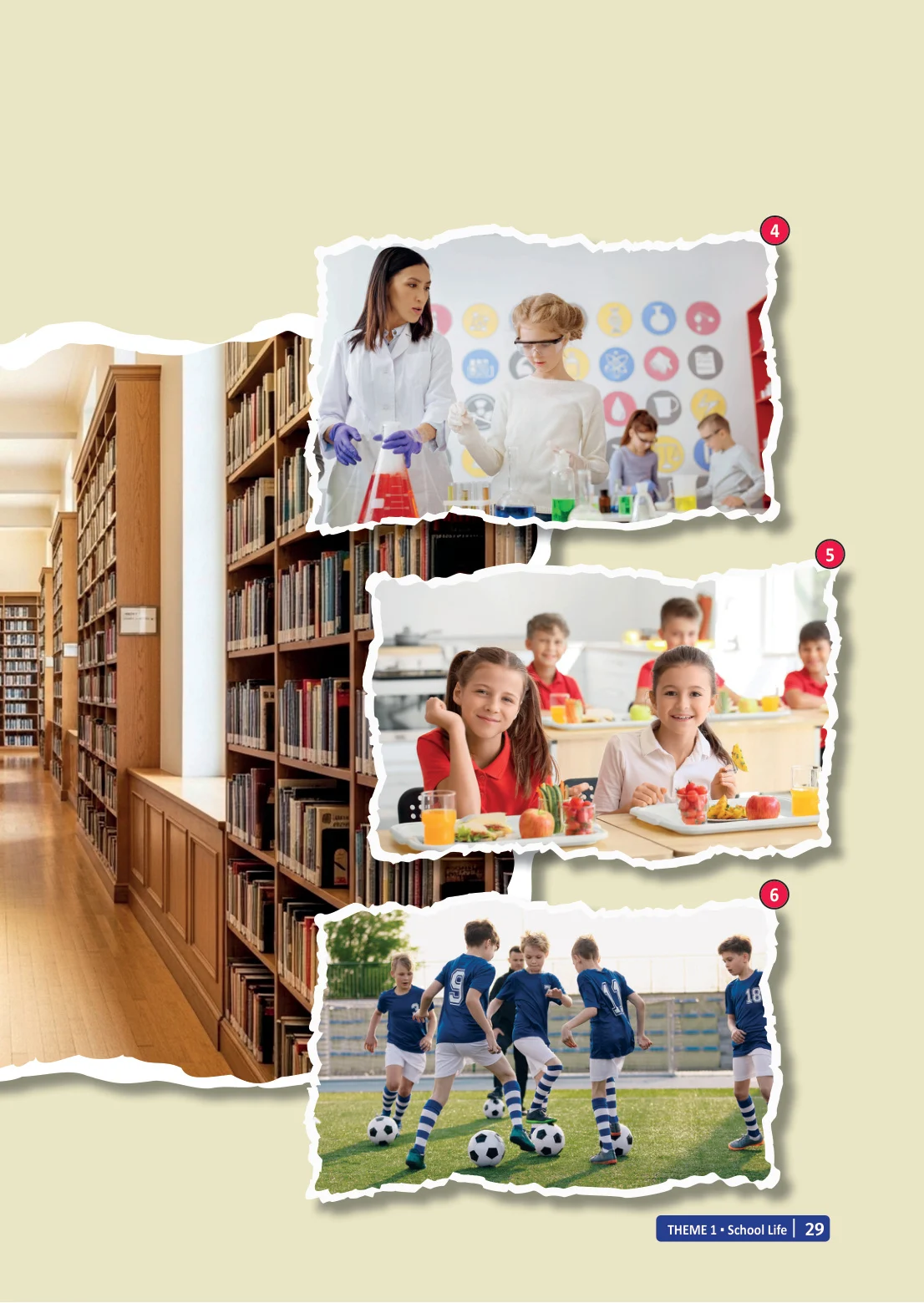 6. Sınıf İngilizce Ders Kitabı Cevapları Meb Yayınları Sayfa 29