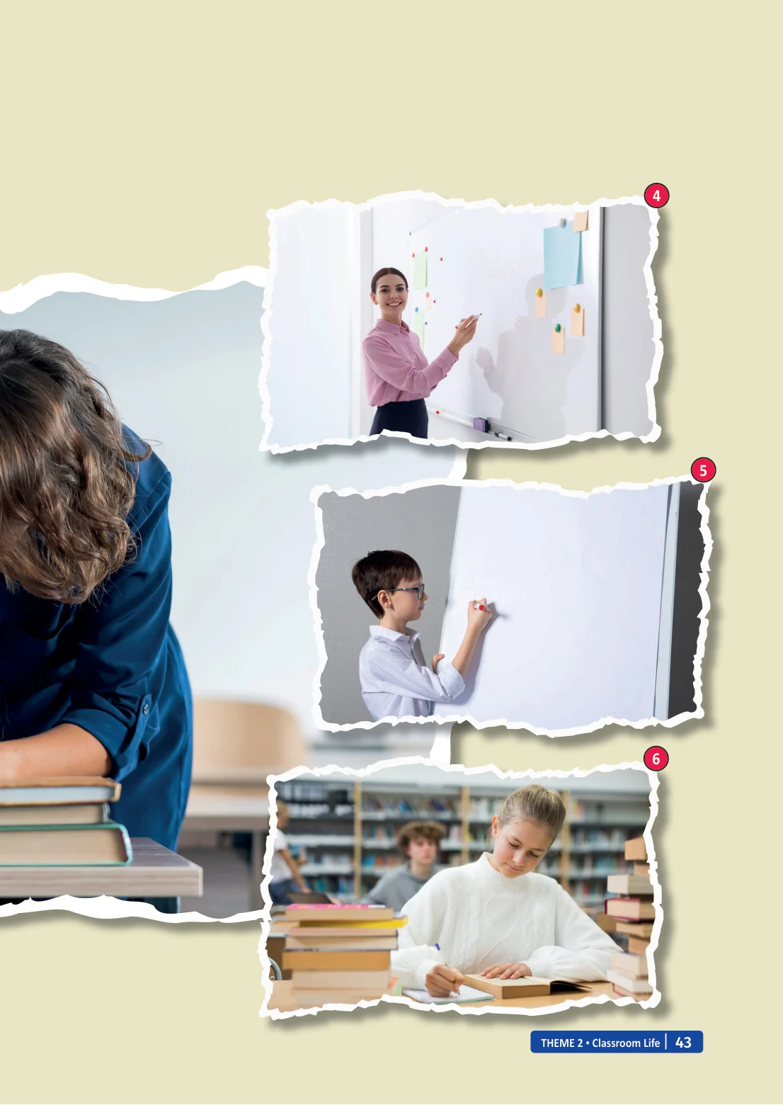 6. Sınıf İngilizce Ders Kitabı Cevapları Meb Yayınları Sayfa 43